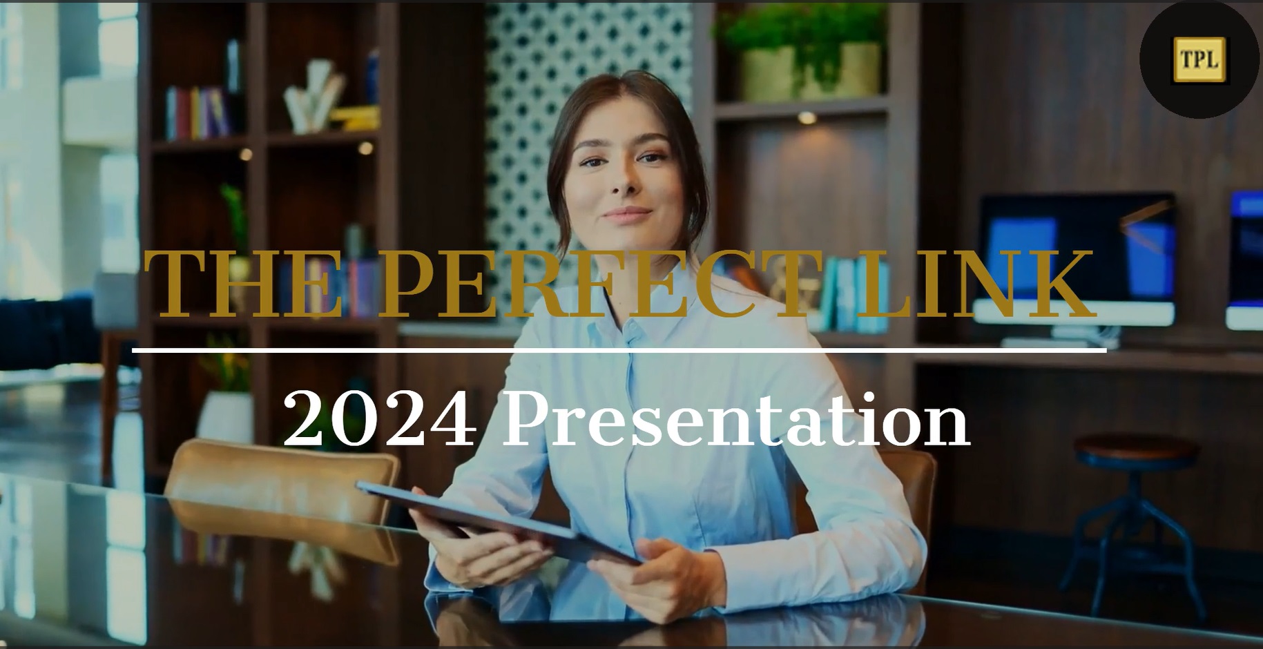 THE PERFECT LINK Empresa de Auditoria